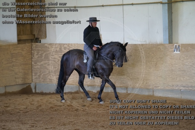 s_K3F03371.JPG